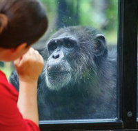 The Rockhampton Zoo - Kawana Tourism