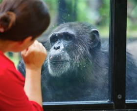 The Rockhampton Zoo - Kawana Tourism 0