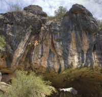 Borenore Karst Conservation Reserve - Kawana Tourism