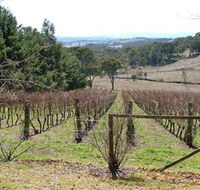 Habitat Vineyard - Kawana Tourism