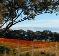 Bloodwood Estate - Kawana Tourism