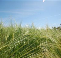 150 Degrees East Meridian - Kawana Tourism