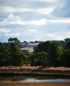 Brae - Kawana Tourism 4