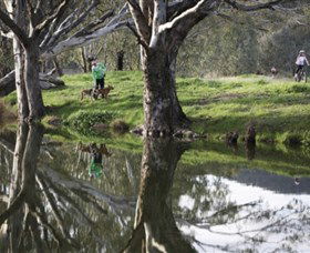 Albury - Murray River Precinct - Kawana Tourism 3