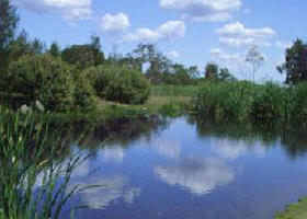Yan Yean Reservoir Park - Kawana Tourism 0