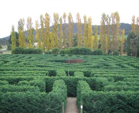 Brookfield Maze - Kawana Tourism 0