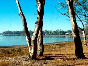Lake Broadwater Conservation Park - Kawana Tourism 0