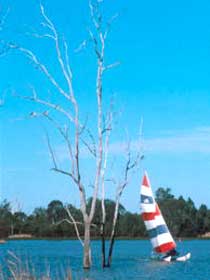 Lake Broadwater Conservation Park - Kawana Tourism 2
