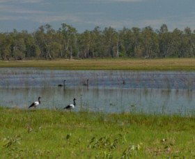 Lake Broadwater Conservation Park - Kawana Tourism 1