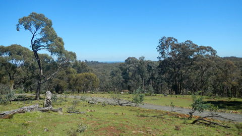 Bald Hill Lookout - Kawana Tourism 0