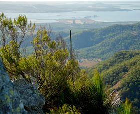Mount Larcom Climb - Kawana Tourism 1