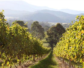 Pizzini Wines King Valley - Kawana Tourism 3