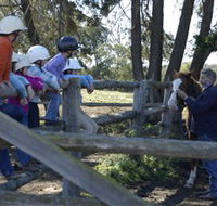 Harlow Park Horse Riding - Kawana Tourism