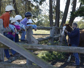 Harlow Park Horse Riding - Kawana Tourism 0