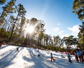 Corin Forest Mountain Resort - Kawana Tourism 1