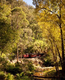 Walhalla Goldfields Railway - Kawana Tourism 3
