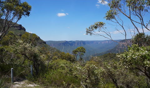 Mount Banks Road Cycle Route - Kawana Tourism 2