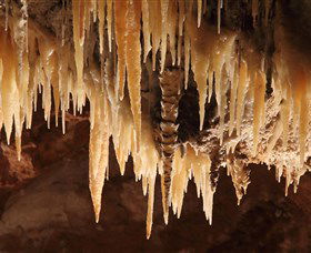 Wombeyan Caves - Kawana Tourism 1