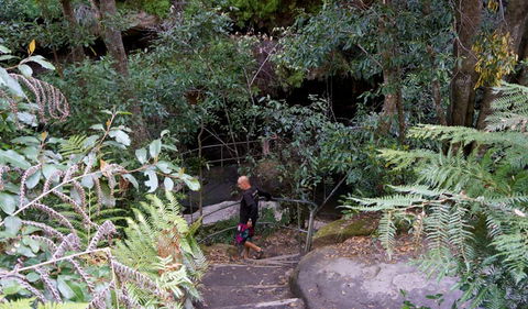 Leura Cascades Fern Bower - Kawana Tourism 0