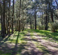 Wombeyan Waterfall walking track - Kawana Tourism
