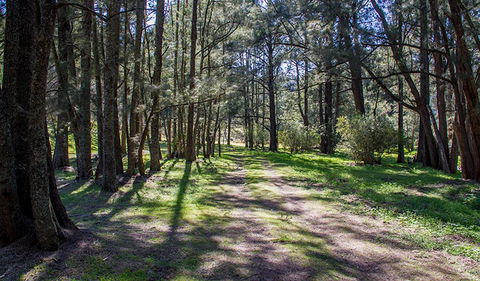 Wombeyan Waterfall Walking Track - Kawana Tourism 0