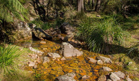 Wombeyan Waterfall Walking Track - Kawana Tourism 1