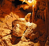 Fig Tree Cave - Kawana Tourism