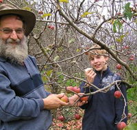 Pine Crest Orchard - Kawana Tourism