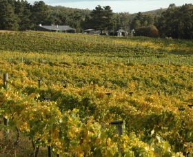 Lark Hill Biodynamic Winery - Kawana Tourism 2