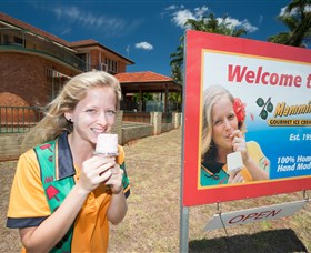 Mammino Gourmet Ice Cream - Kawana Tourism 3