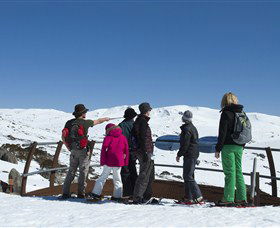 Charlotte Pass And Lookout - Kawana Tourism 1