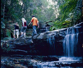 South Lawson Waterfall Circuit - Kawana Tourism 0