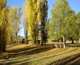 Gaden Trout Hatchery - Kawana Tourism 1
