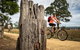 Gippsland Plains Rail Trail - thumb 2