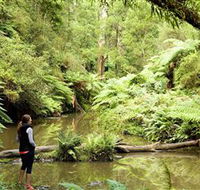 Morwell National Park - Kawana Tourism