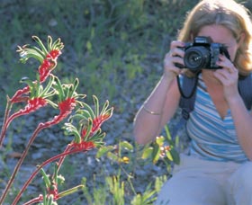 Kalamunda National Park - Kawana Tourism 1