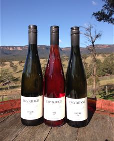 Dryridge Estate - Kawana Tourism 2