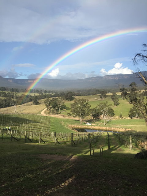 Dryridge Estate - Kawana Tourism 4