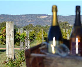 Ugly Duckling Wines - Kawana Tourism 1