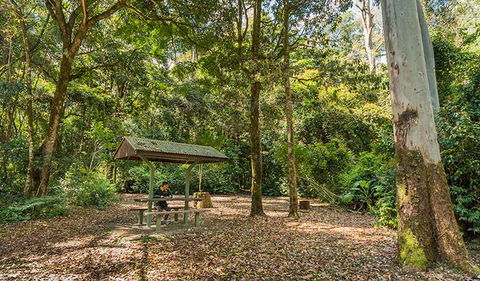 Tooloom National Park - Kawana Tourism 0