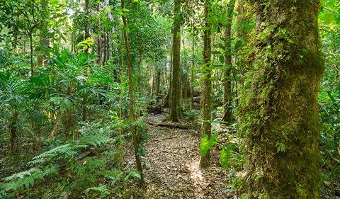 Tooloom National Park - Kawana Tourism 2