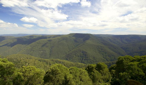 Barrington Tops National Park - Kawana Tourism 0