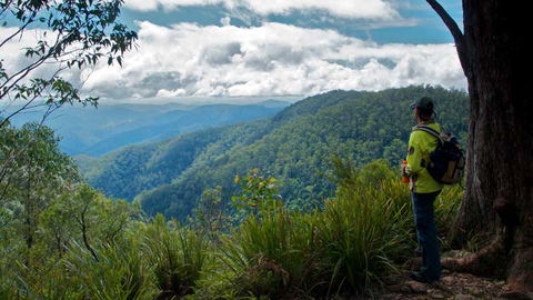 Barrington Tops National Park - Kawana Tourism 3