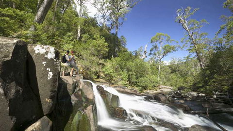 Barrington Tops National Park - Kawana Tourism 2