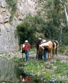 Yarramba Horse Riding - Kawana Tourism 0
