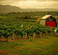 Around Hermitage Wine and Food Trail Hunter Valley - Kawana Tourism
