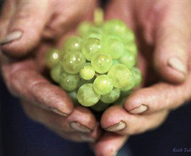 Keith Tulloch Wine - Kawana Tourism 1