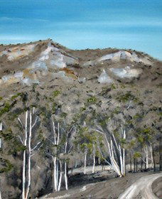 Greg Wilson Gallery - Kawana Tourism 2