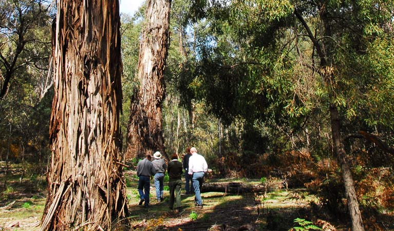 Murrengenburg NSW Kawana Tourism