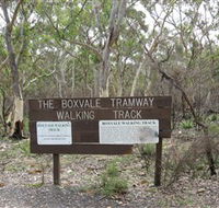 Box Vale Picnic Area - Kawana Tourism
